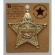 Sheriff Lincoln County - Gold -  - PH003G