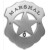 Silver - 301