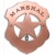 Copper - 301