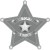 Sans-Serif - Star Badge