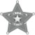 Serif - Star Badge