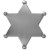 Silver - 314C