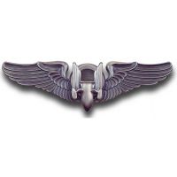 Aerial Gunner Wing Pin