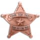Custom 5 Point Silver Star Badge with Filigree -  - PH3101C