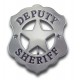 Sheriff's Badges