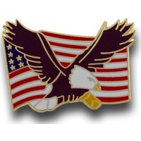 Eagle and Flag Pin