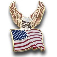Eagle with American Flag Pin