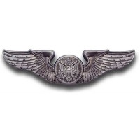 Enlisted Air Crew Member Wing Pin Enlisted Air Crew Member Wing Pin