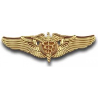 Flight Surgeon Wing - Gold Pin