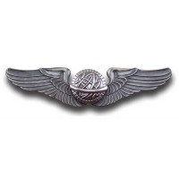 Navigator Wing Pin