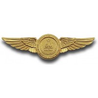 Navy/USMC WWII 50th Anniversary Commemorative Wing Navy/USMC WWII 50th Anniversary Commemorative Wing