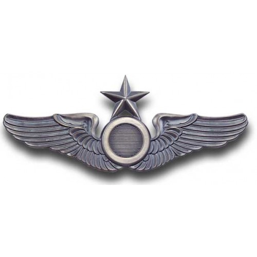 Senior Observer Wing Pin -  - WING02