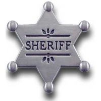 Sheriff Star Pin
